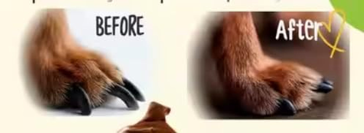 Dog Nail Scratch Board - with Treat Draw- Dog Scratch Pad for Nails – Durable Wooden Nail Filing Board with Treat Drawer