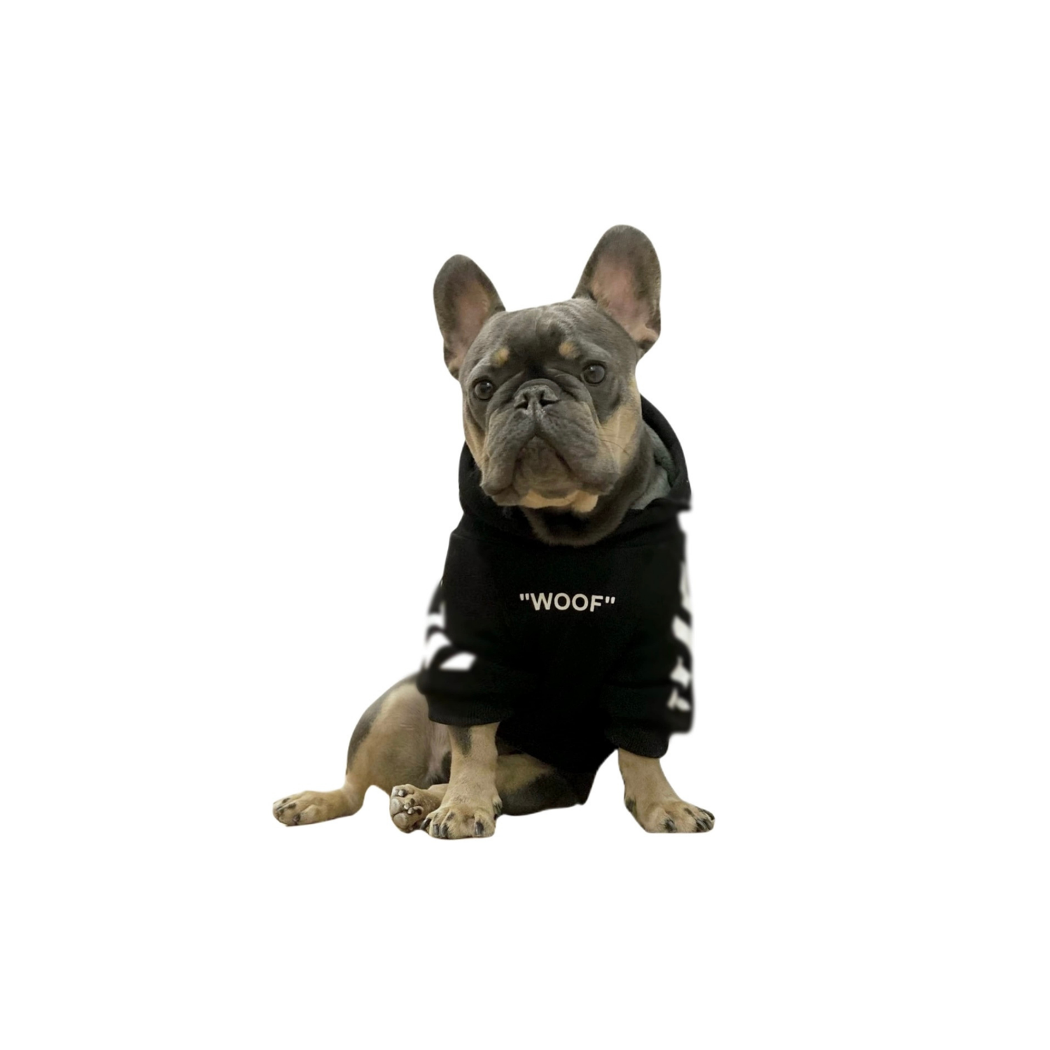 Pet Care Tools & Accessories