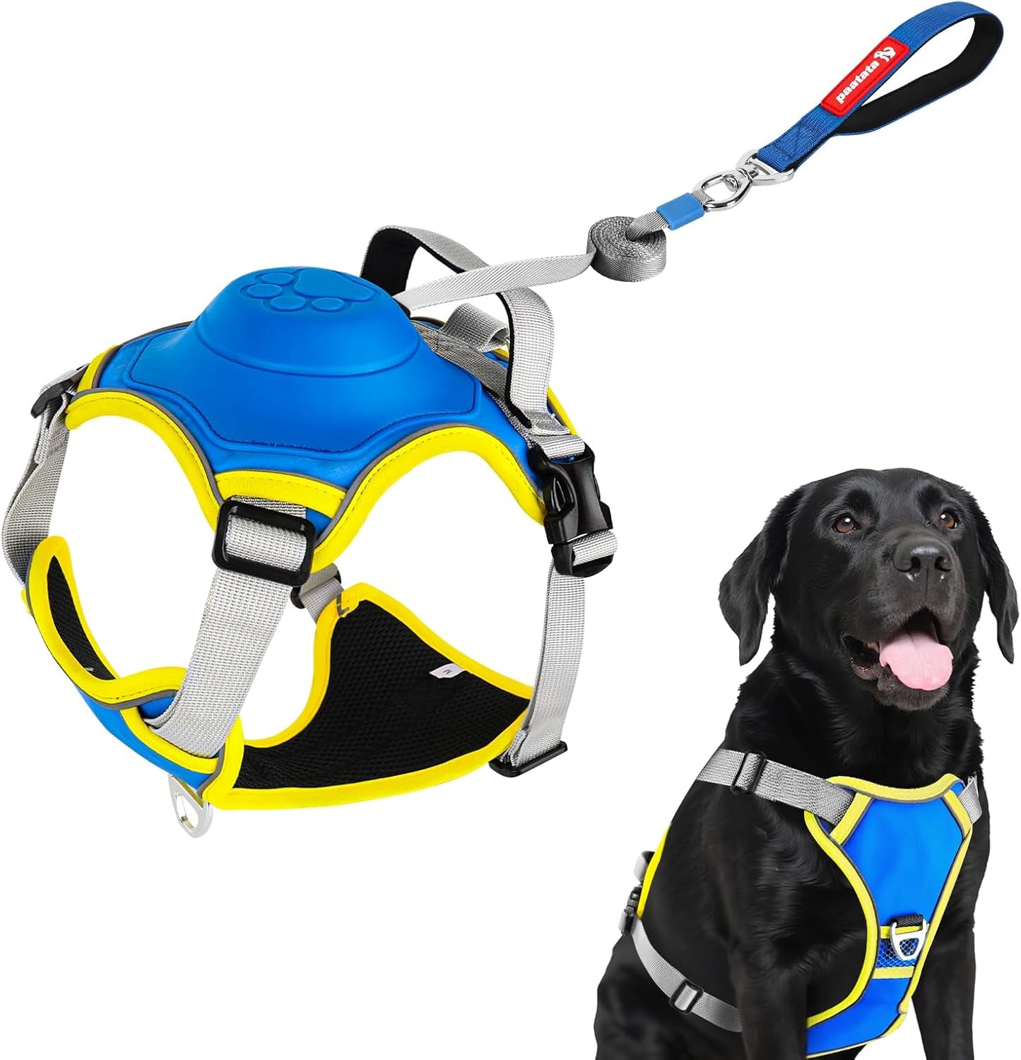 No Pull Dog Harness, 2 in 1 Retractable Harness with Auto-Lock, Reflective Breathable Mesh and Handle, Adjustable Leash Set for Small, Medium,Large Dogs,Cats (Color 1, L)