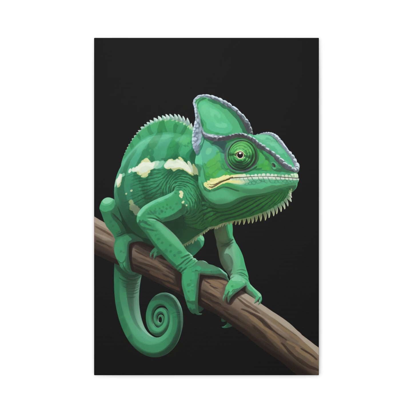 Chameleon Matte Canvas, Stretched, 1.25"