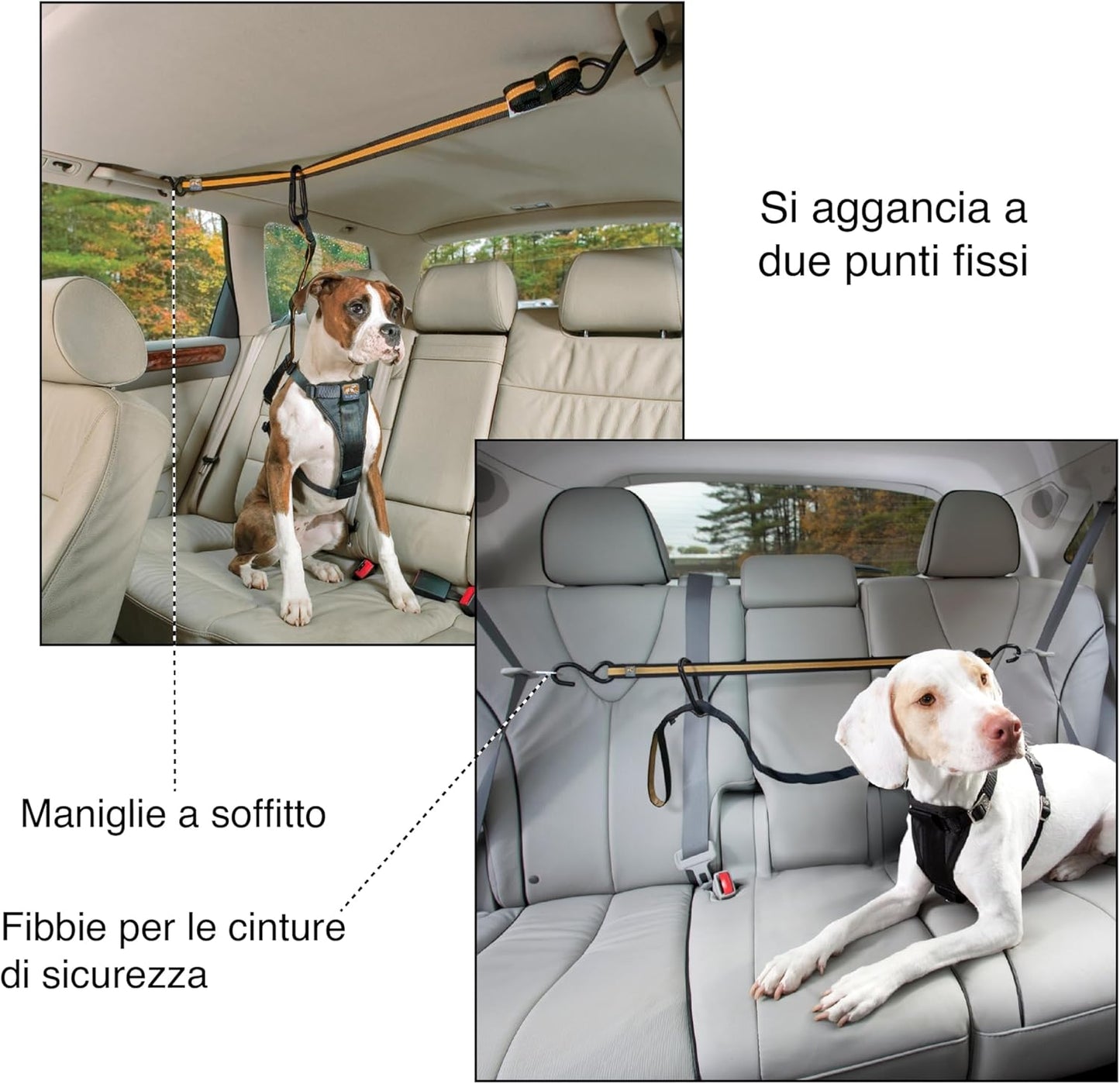 Auto Zip Line - Backseat Zipline Harness for Car Travel - Dog Car Accessory for Safe Rides - Adjustable Pet Tether - Durable Nylon Zipline Leash Travel System