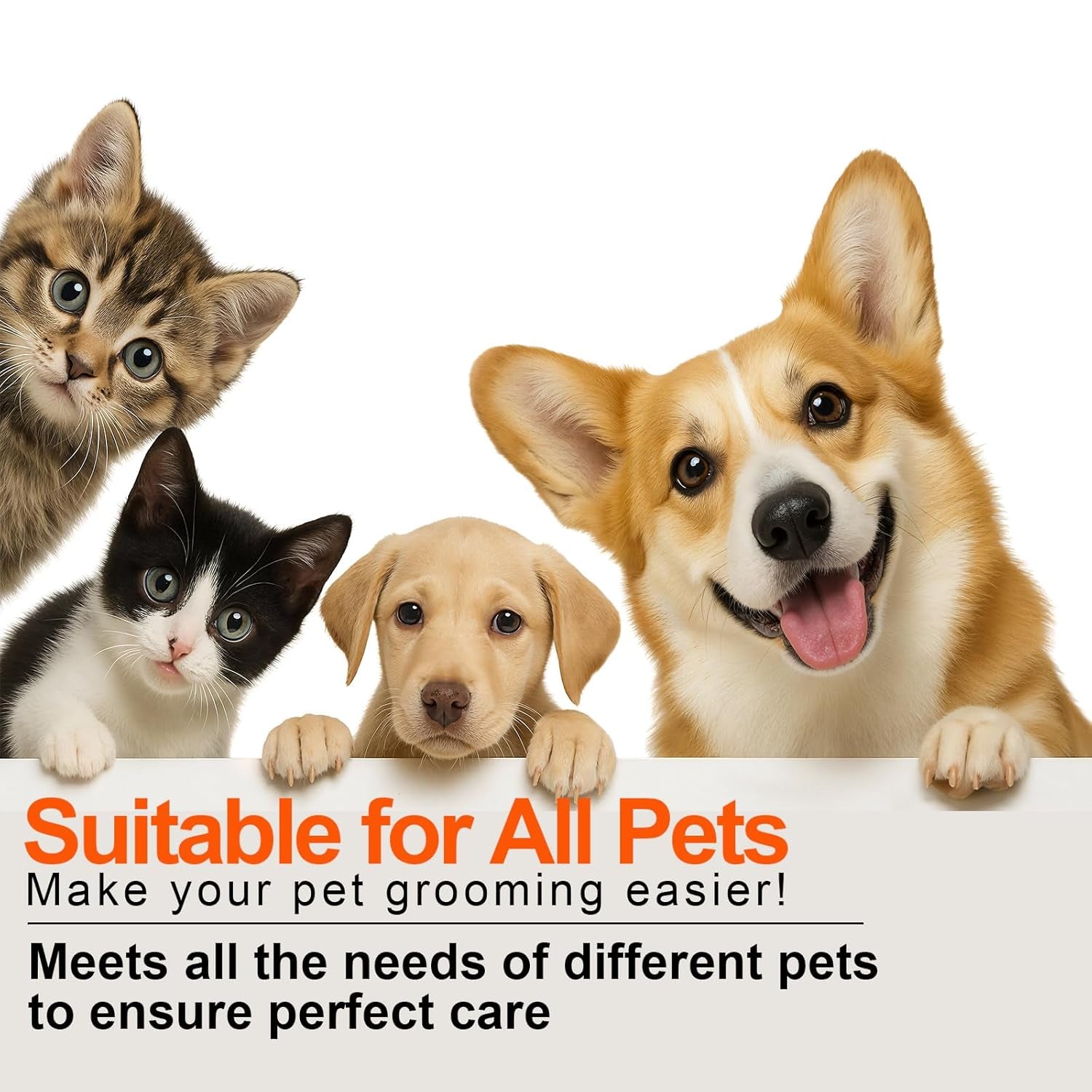 4-In-1 Steam Brush for Dogs & Cats - Pet Grooming Brush with Steam, Deshedding, Bath Spray & Massage, Professional Grooming Tool for Indoor Cats and Long/Short Hair Pets​​ (Green)