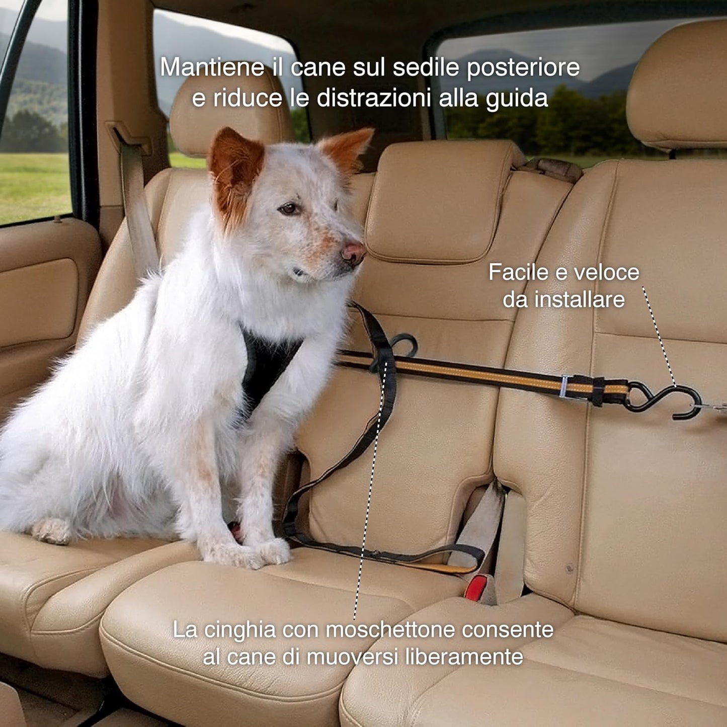 Auto Zip Line - Backseat Zipline Harness for Car Travel - Dog Car Accessory for Safe Rides - Adjustable Pet Tether - Durable Nylon Zipline Leash Travel System