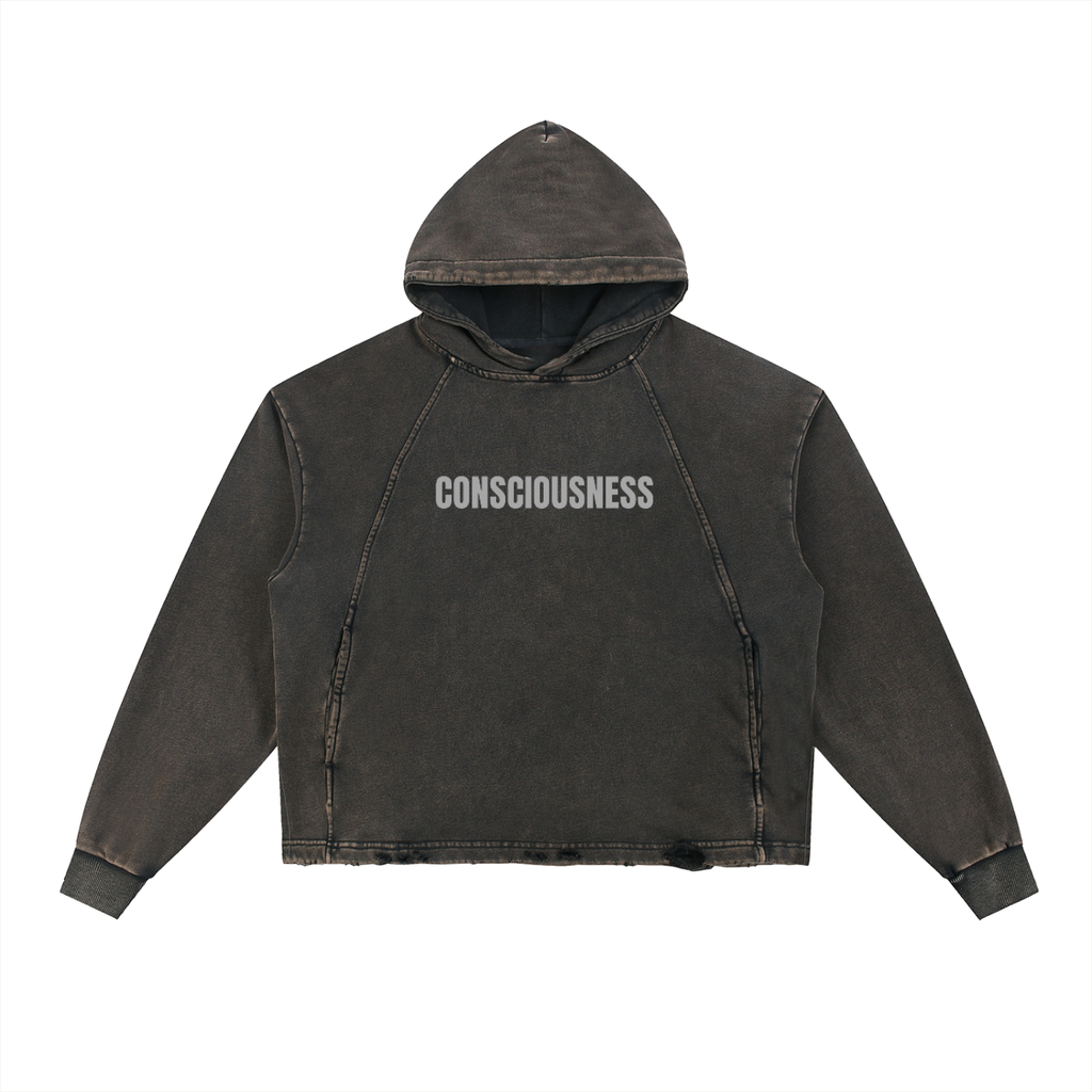 Vintage Washed Frayed-Hem Hoodie