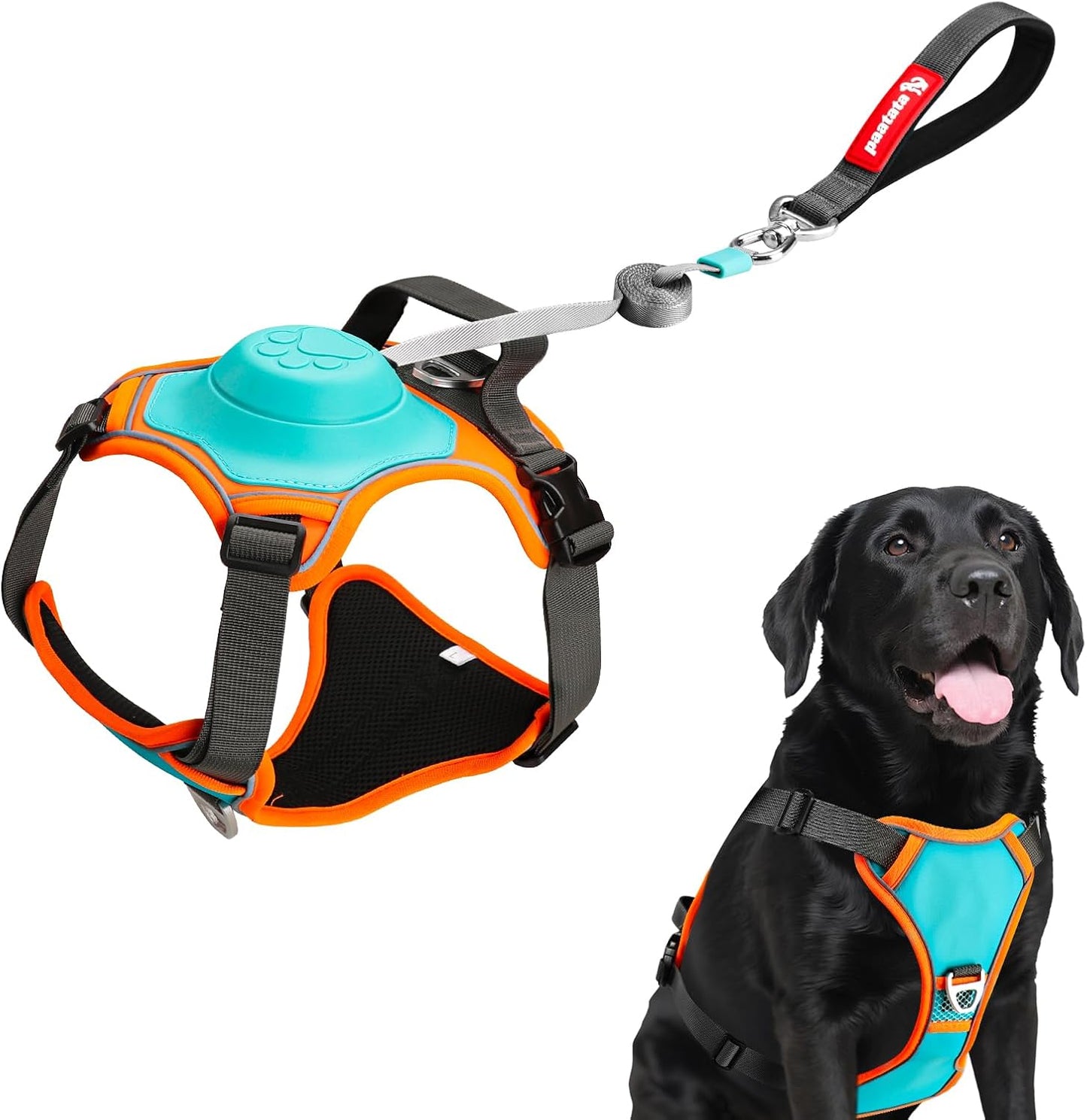 No Pull Dog Harness, 2 in 1 Retractable Harness with Auto-Lock, Reflective Breathable Mesh and Handle, Adjustable Leash Set for Small, Medium,Large Dogs,Cats (Color 1, L)